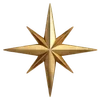 🌟