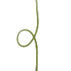 🌱