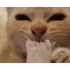😋
