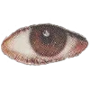 👁