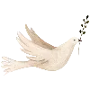 🕊️