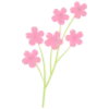 🌷