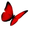 🦋