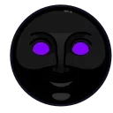 🌝