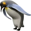 🐧