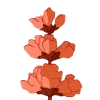 🌸