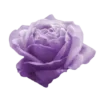 💜
