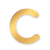 🟡