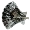 🐚