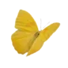 💛