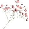 🌸