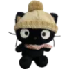 🐈‍⬛️