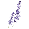 💜