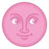🌚