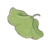 💚