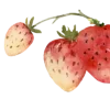 🍓