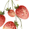 🍓
