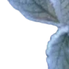 🩵