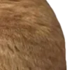 😀