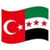 🇸🇾