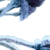 🩵