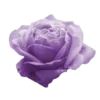 💜