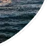 🌊