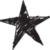 🌟