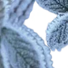 🩵