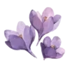 💜