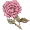 🌹