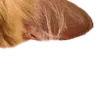 😀