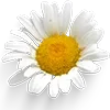 ♾