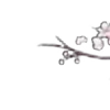 ⭐