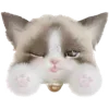🐈