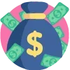 💸