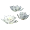 🪷