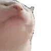🕺