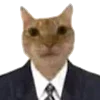 👩‍💼