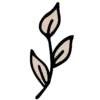 🎞️