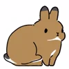 🐰