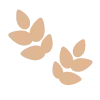 🌾
