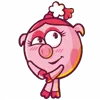 🐷