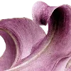 🌺