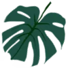 🍃