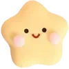 🌟