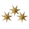 🌟