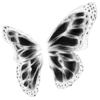 🦋