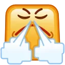 😤