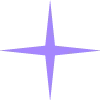 🟣